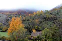 Otoño en Cabornera