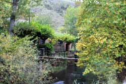 La pasarela sobre el río