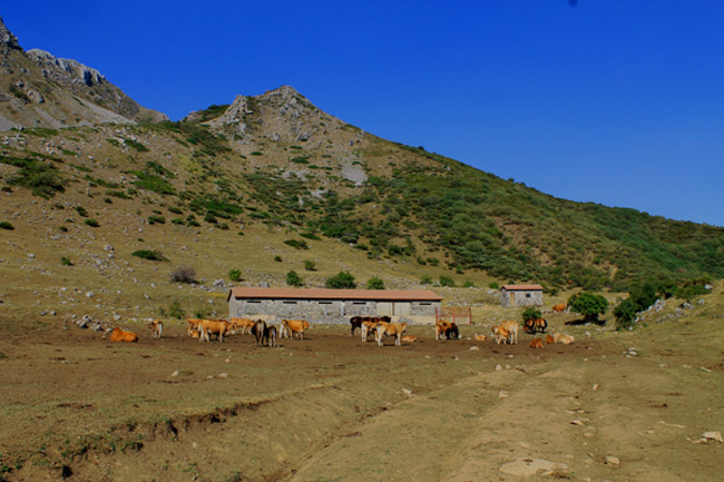La Fábrica de Cabornera, alojamiento turismo rural, montaña de León, Pajares, Valporquero