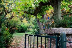Entrada al jardín