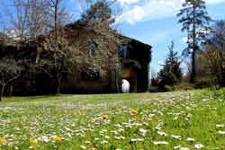 primavera en el jardin del oeste