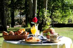 Desayuno en el jardín