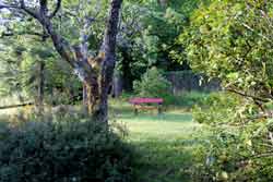 Banco en el jardín